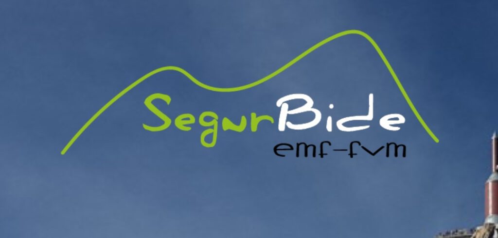 Segurbide EMF-FVM logo